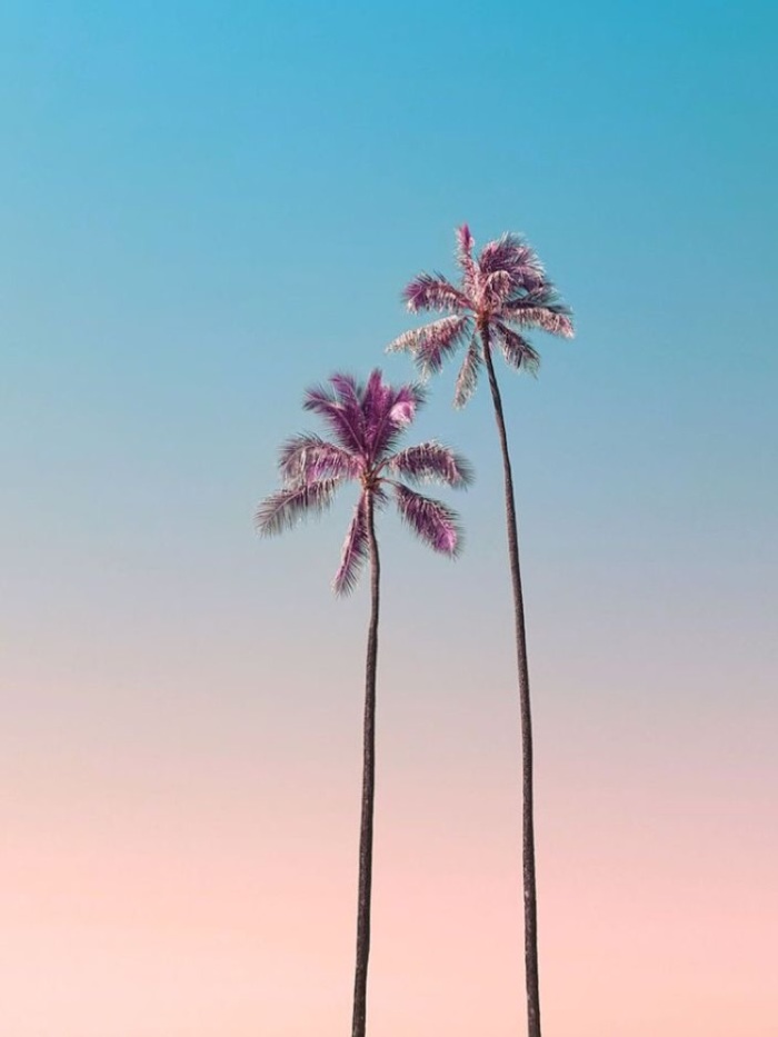 story-img