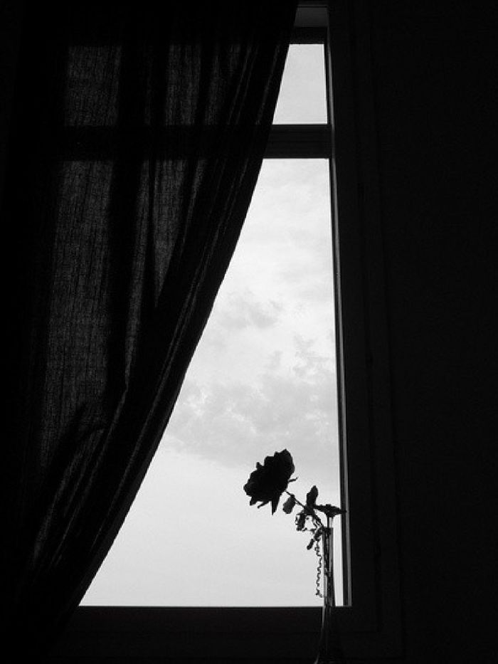 story-img