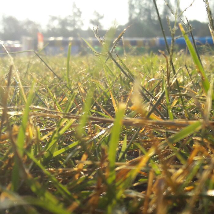 profile cover