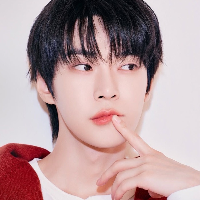 profile cover