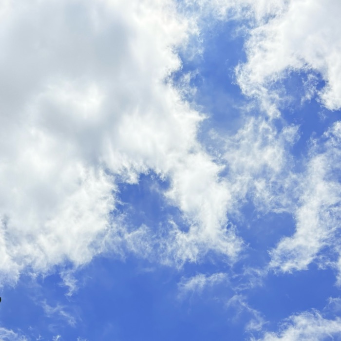profile cover