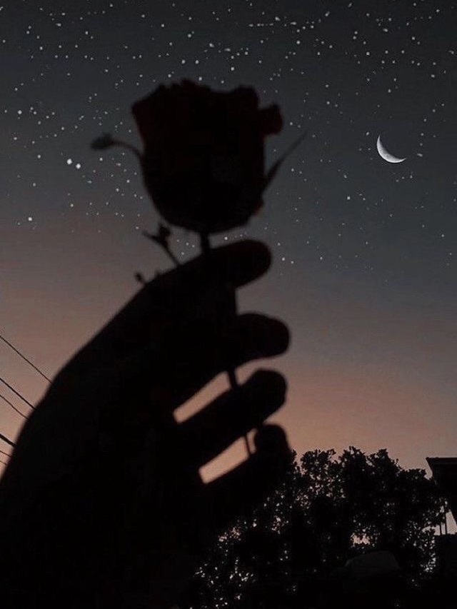 story-img