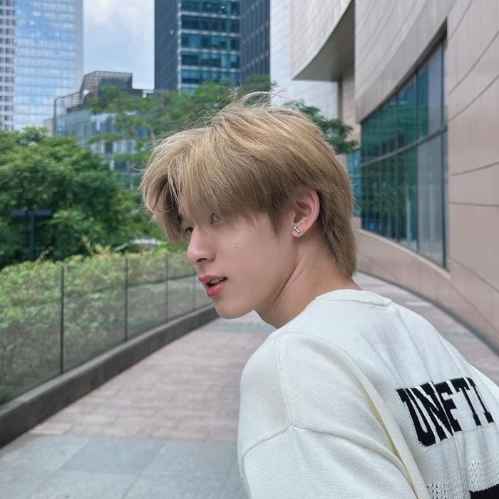 profile cover