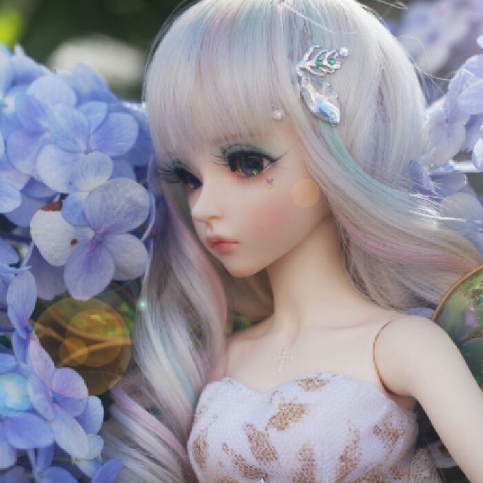 profile cover
