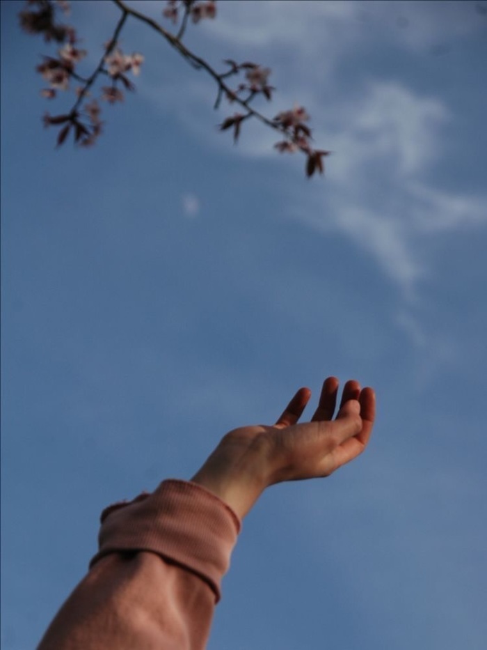 story-img
