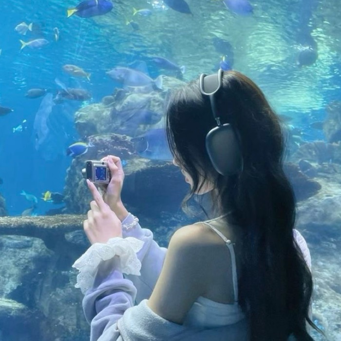 profile cover