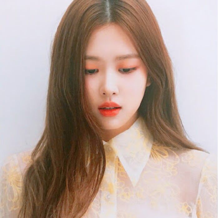 profile cover