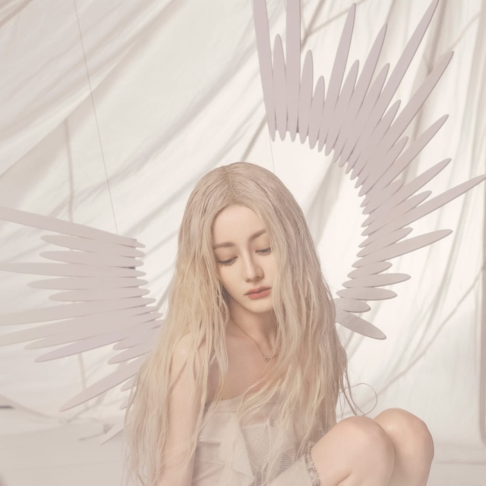 profile cover