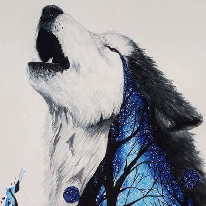 profile cover