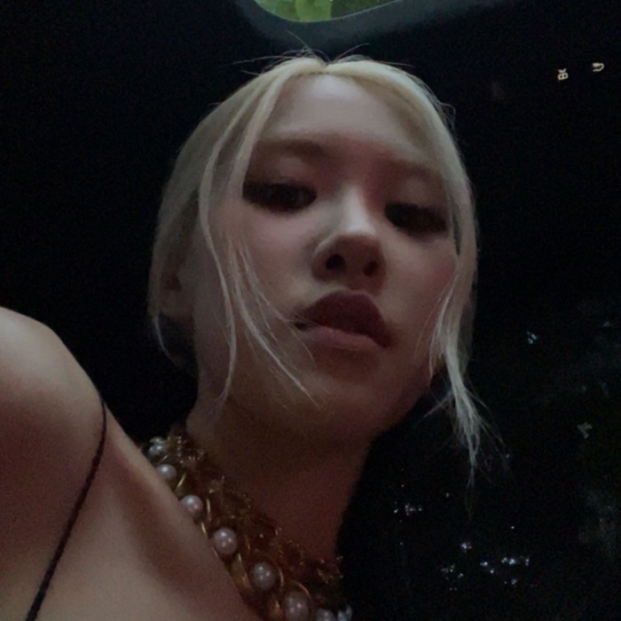 profile cover