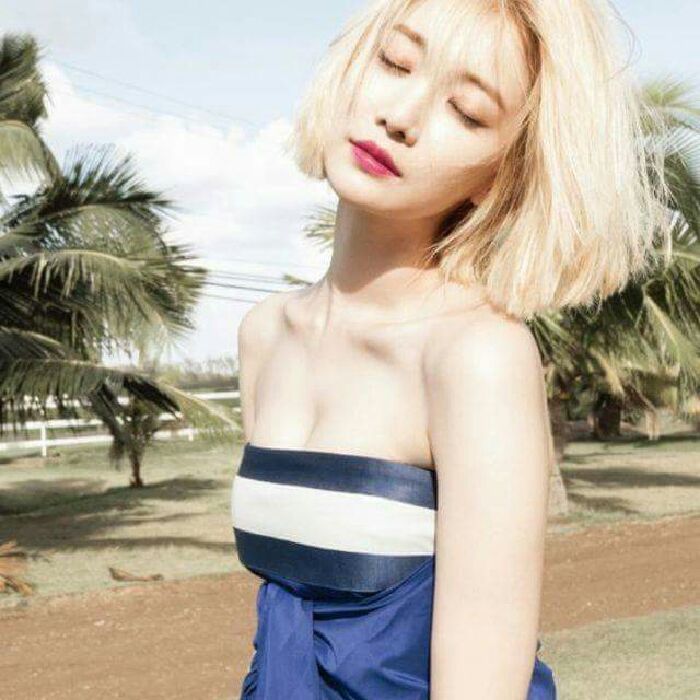 profile cover