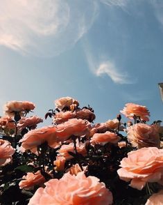 story-img