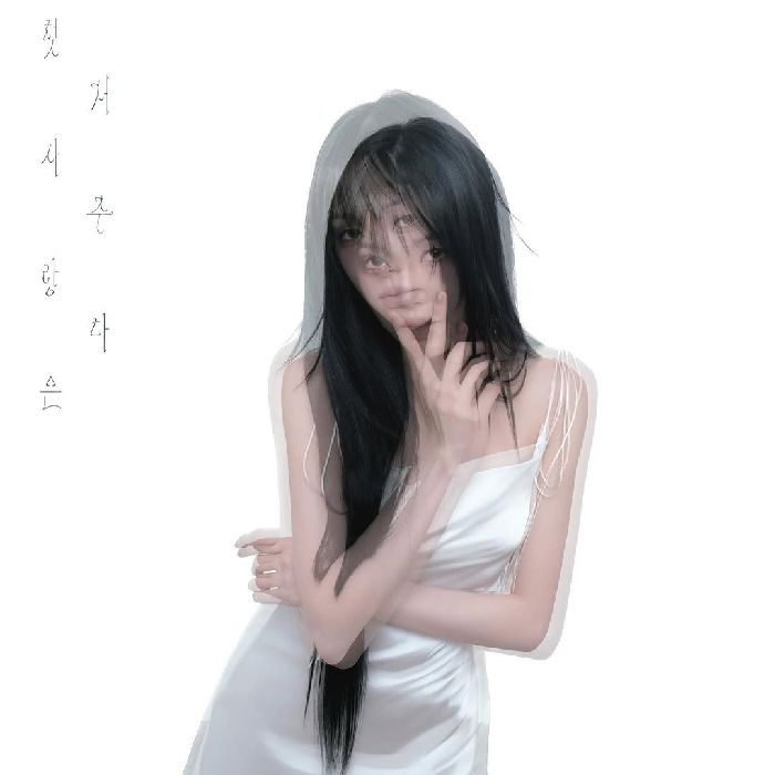 profile cover