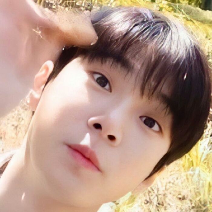 profile cover