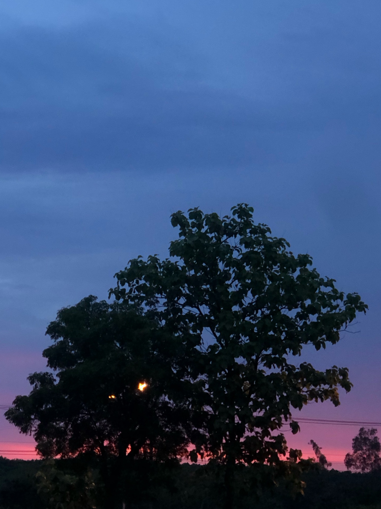 story-img