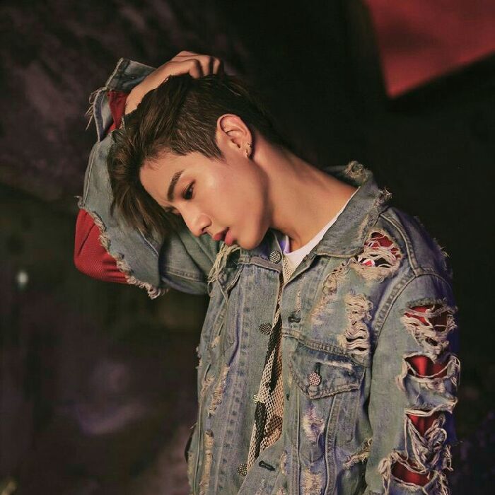 profile cover