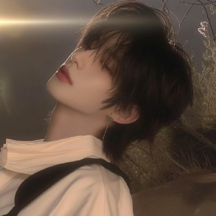 profile cover