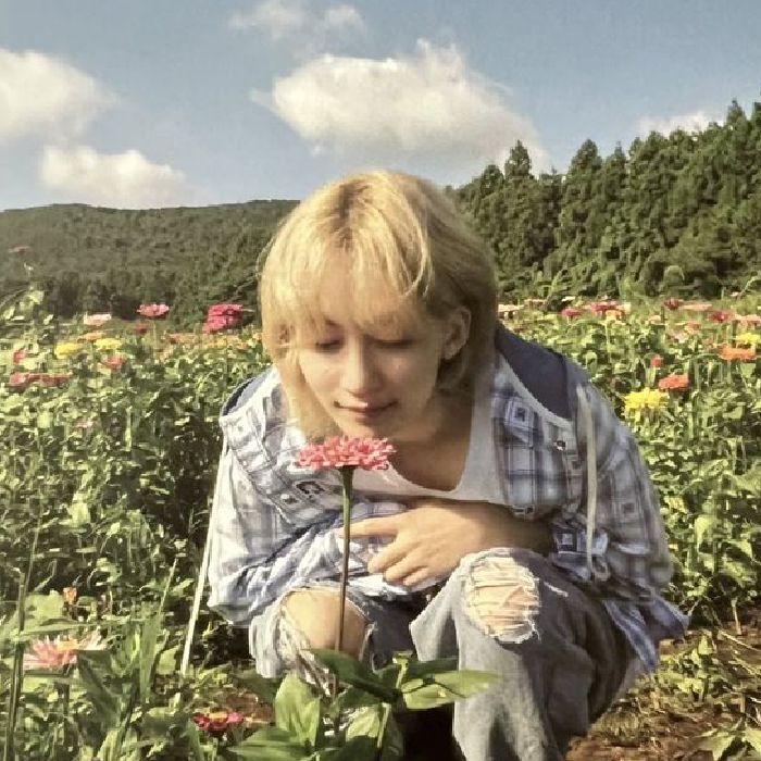 profile cover