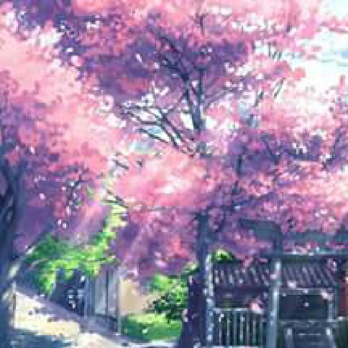 profile cover