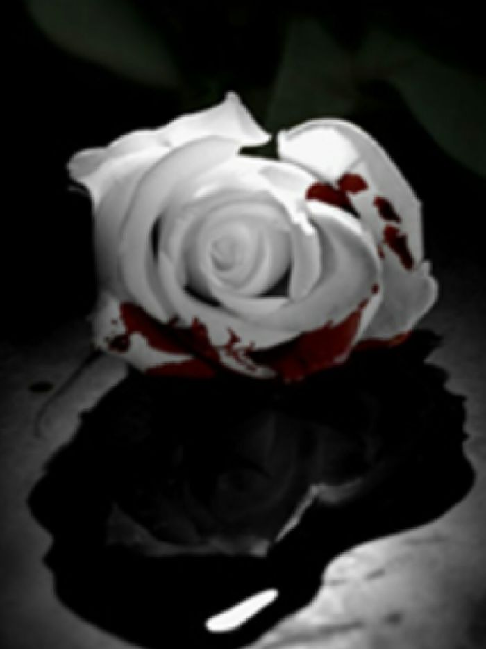 story-img
