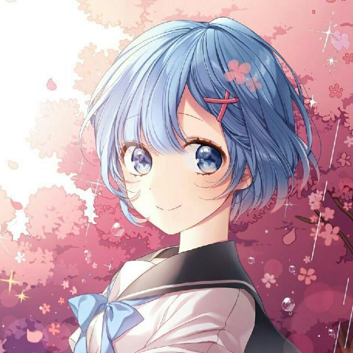 profile cover