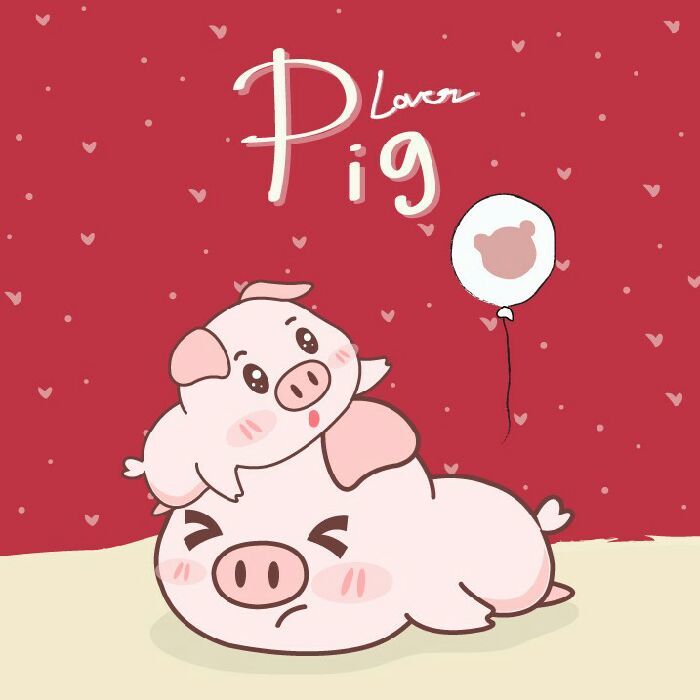 profile cover