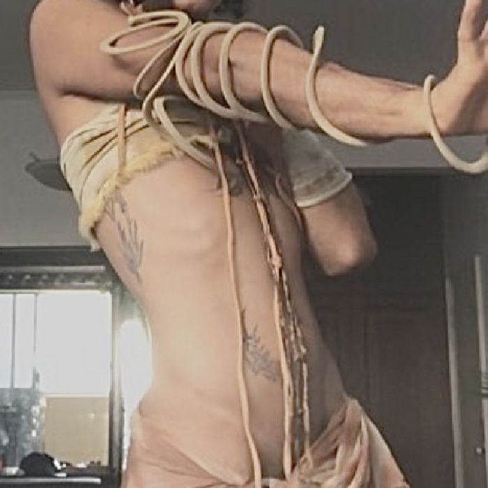 profile cover