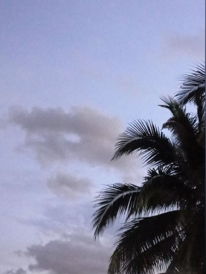 story-img
