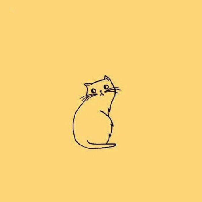 profile cover