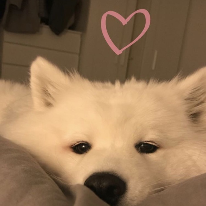 profile cover