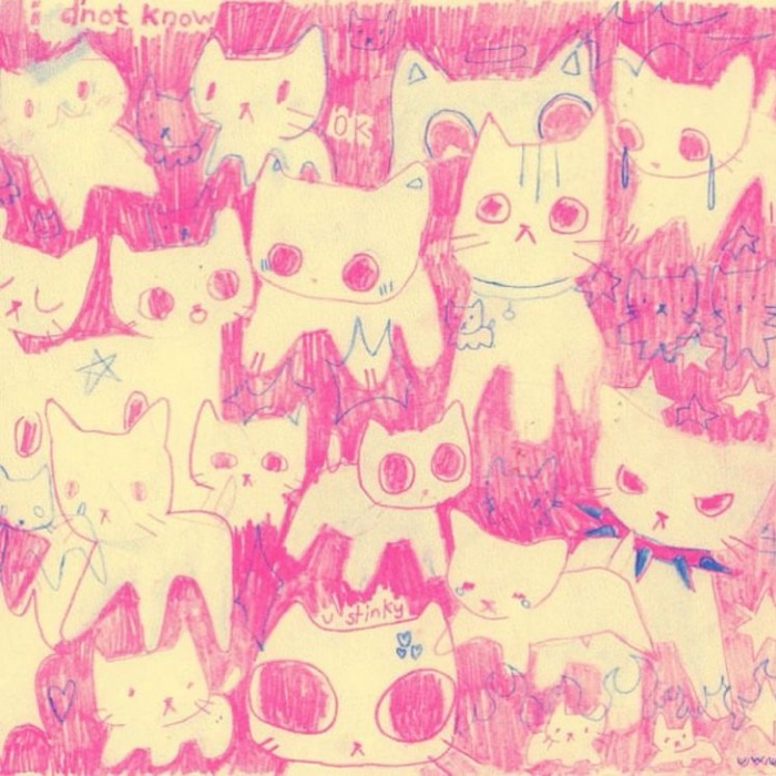 profile cover