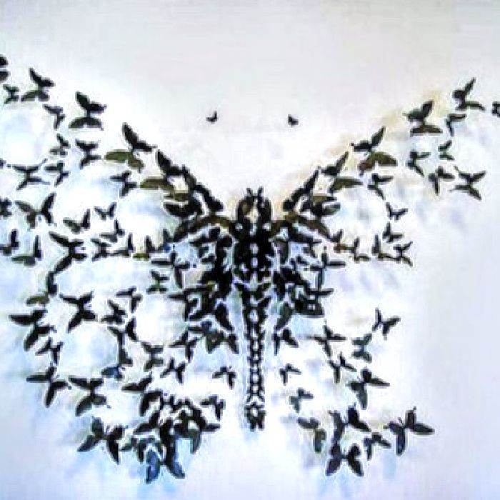 profile cover