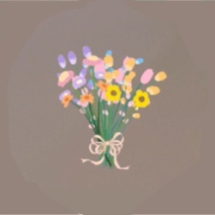 profile cover