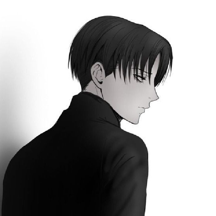 profile cover