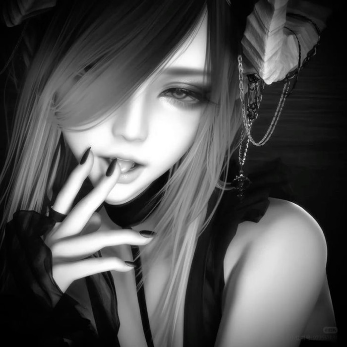 profile cover