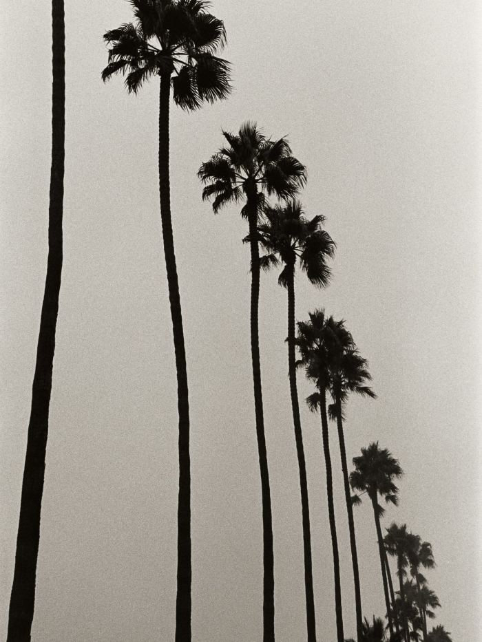 story-img