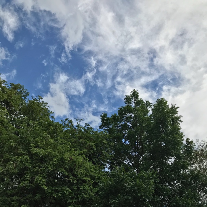 profile cover