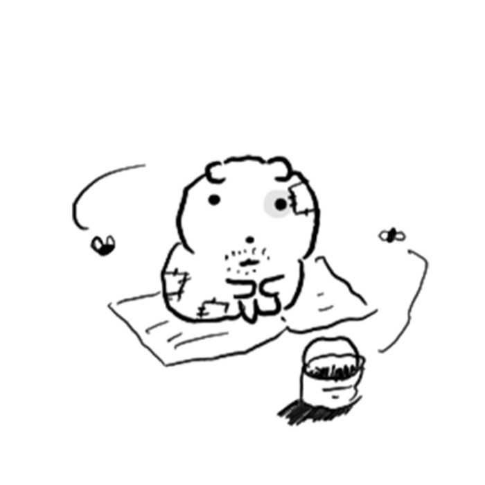 profile cover