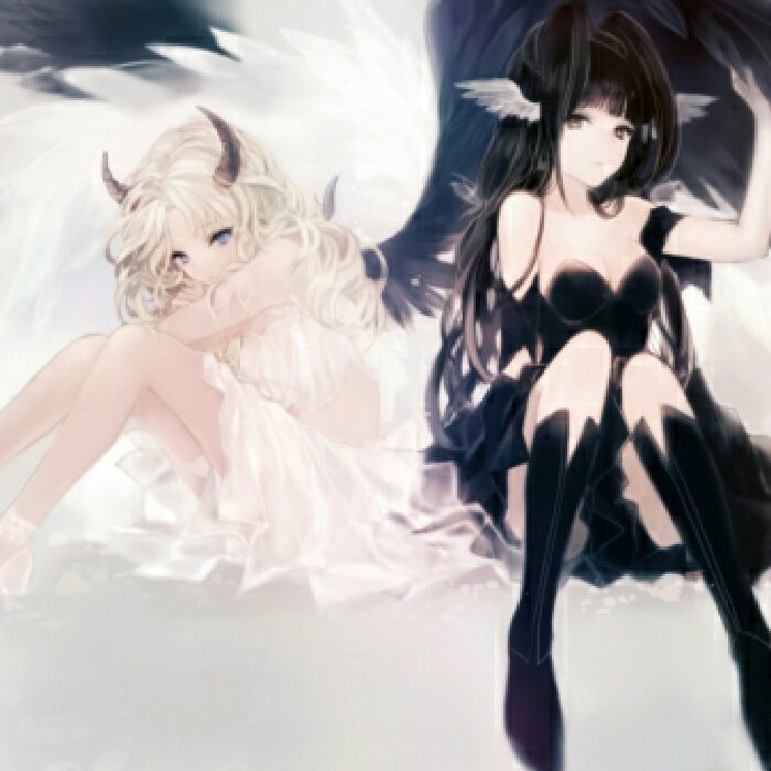 profile cover