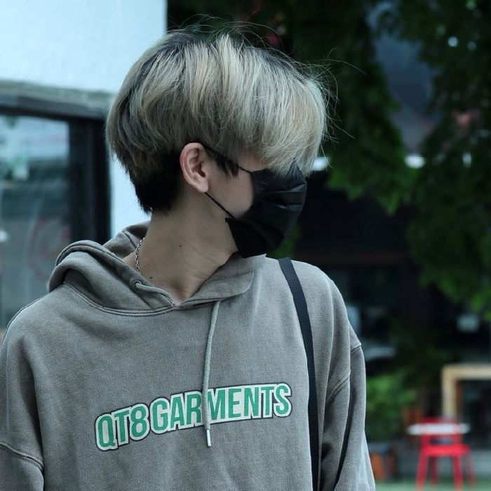 profile cover
