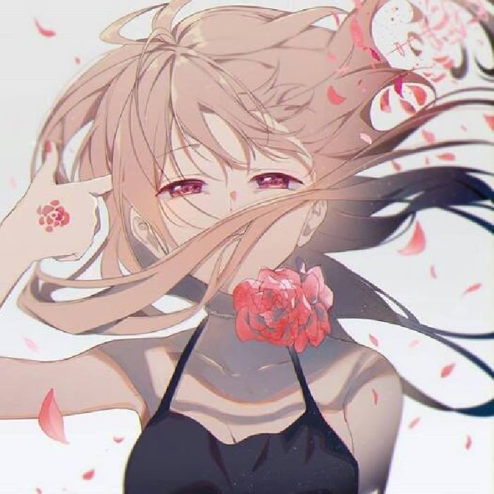profile cover