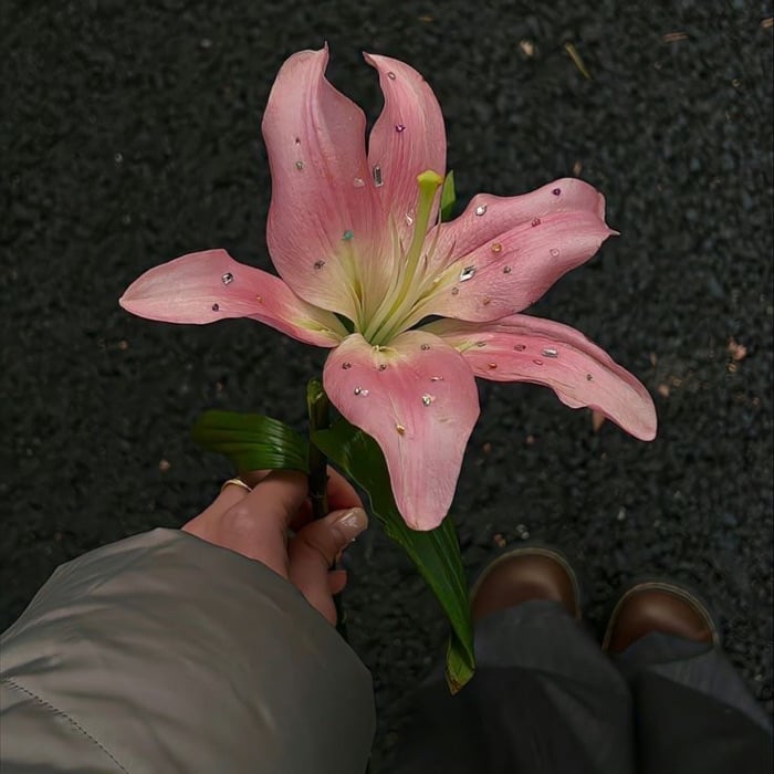 profile cover