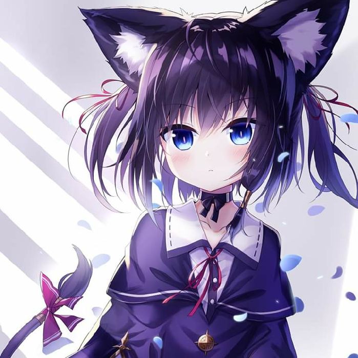 profile cover