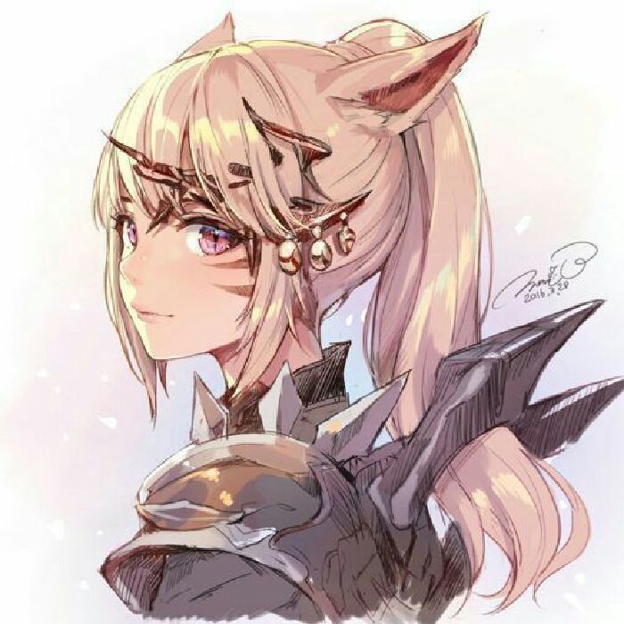 profile cover