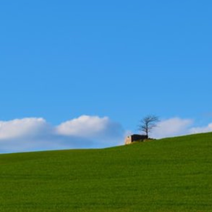 profile cover