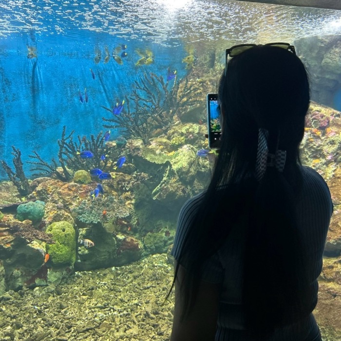 profile cover