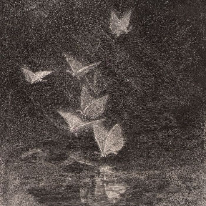 profile cover