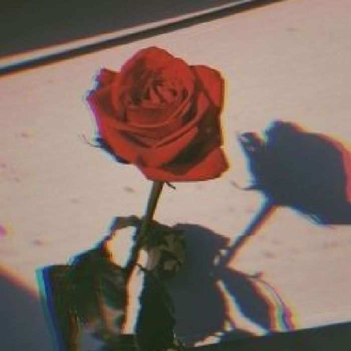 profile cover