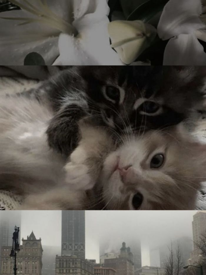 story-img