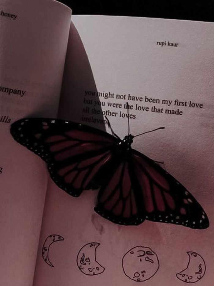 story-img
